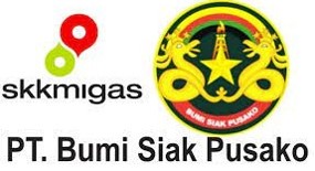 bumi