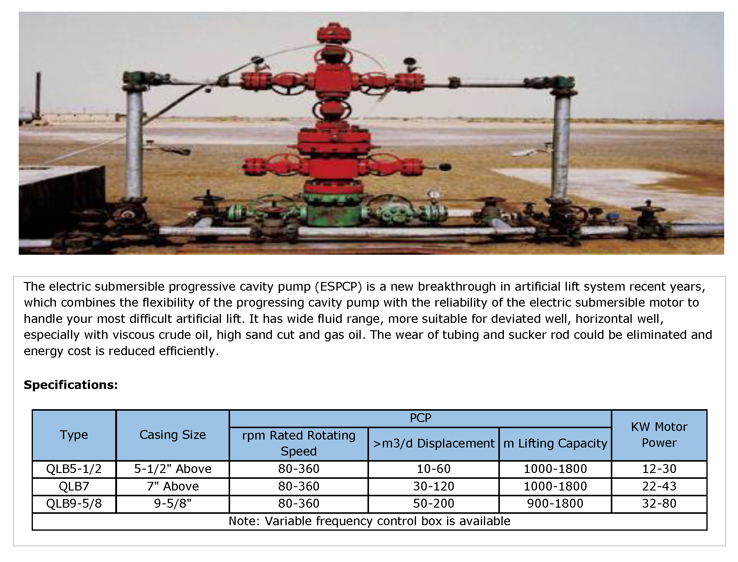 Electric Submersible Progressive Cavity Pumps